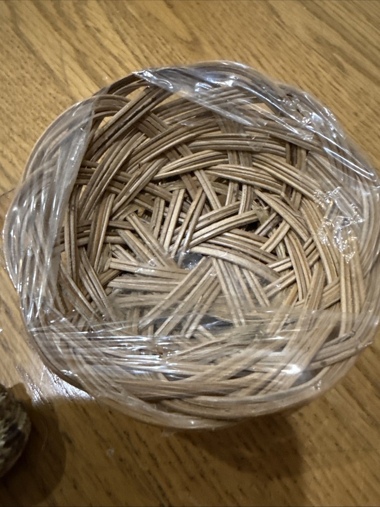 Small Basket With Shells 🐚 14 Basket Beach Decor Tropical Shells