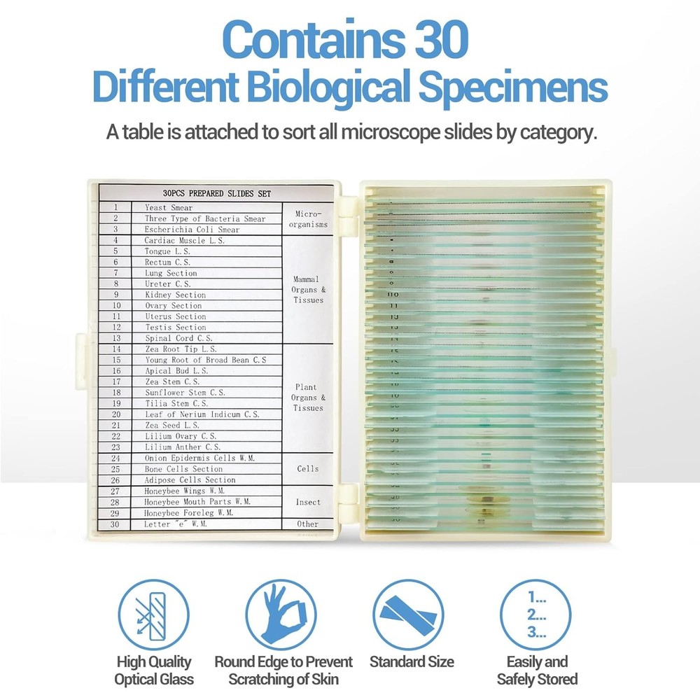 30 Microscope Slides with Specimens for Kids, Prepared Microscope Slides for Kid