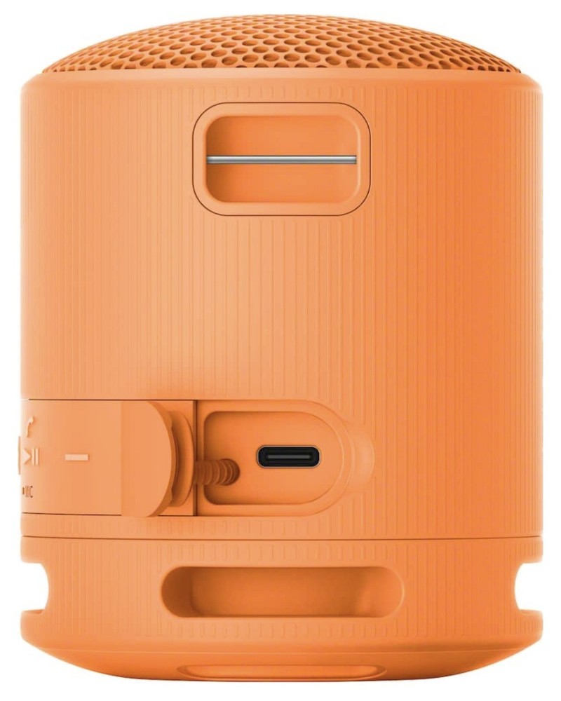Sony Bluetooth Portable Speaker SRS-XB100