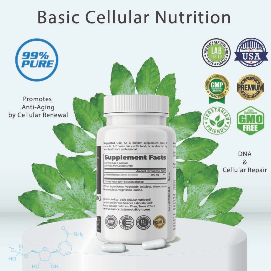BasicCellularNutrition, Precusor, (90 Capsules) 1 Bottle