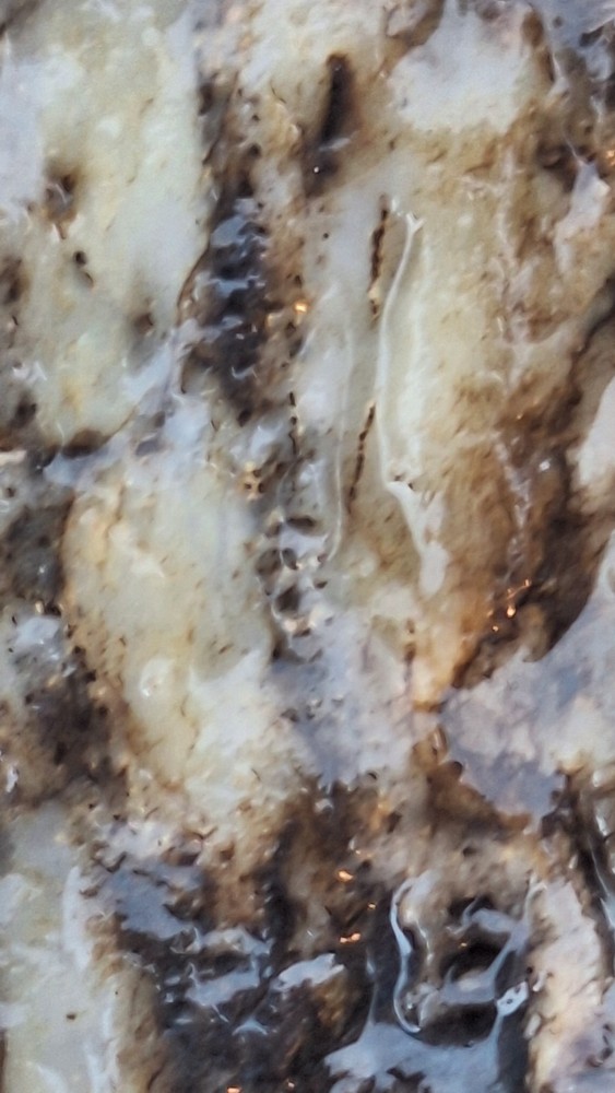 petrified wood log