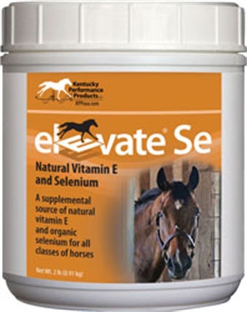 ELEVATE SE VIT E & SELENIUM POWDER