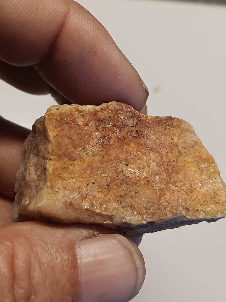 Nevada Gold Ore Sample (36 Grams Total)