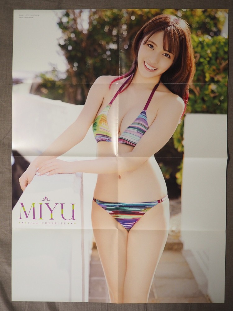 Pinup Poster, double sided - NIYU, Japanese - Ey2787