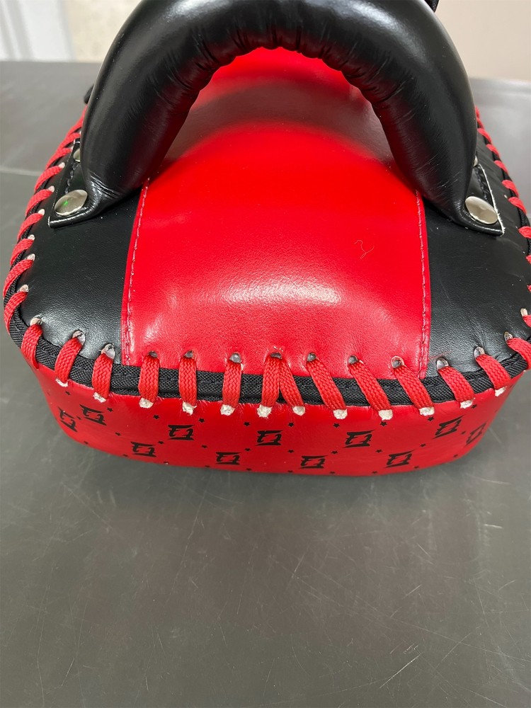 Fairtex Muay Thai Curved Pads