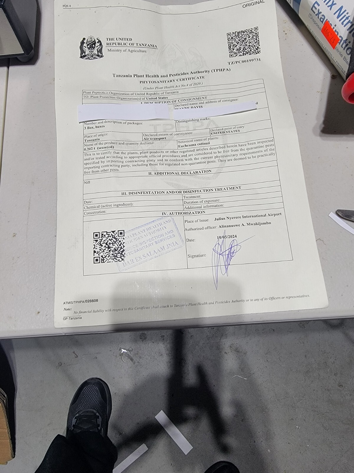 Organic Purple Irish Sea Moss I Wild Crafted Superfood I Raw Sun dried Seamoss