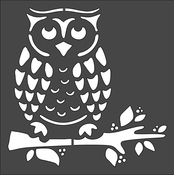 8"x8" Clear Plastic Stencil - Owl (SA13)*****