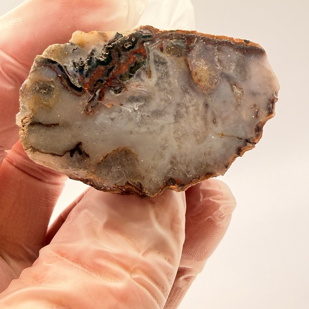 3pc Moroccan Agate Bundle 3.15oz Polished Fortification Moss Agate Slab Specimen