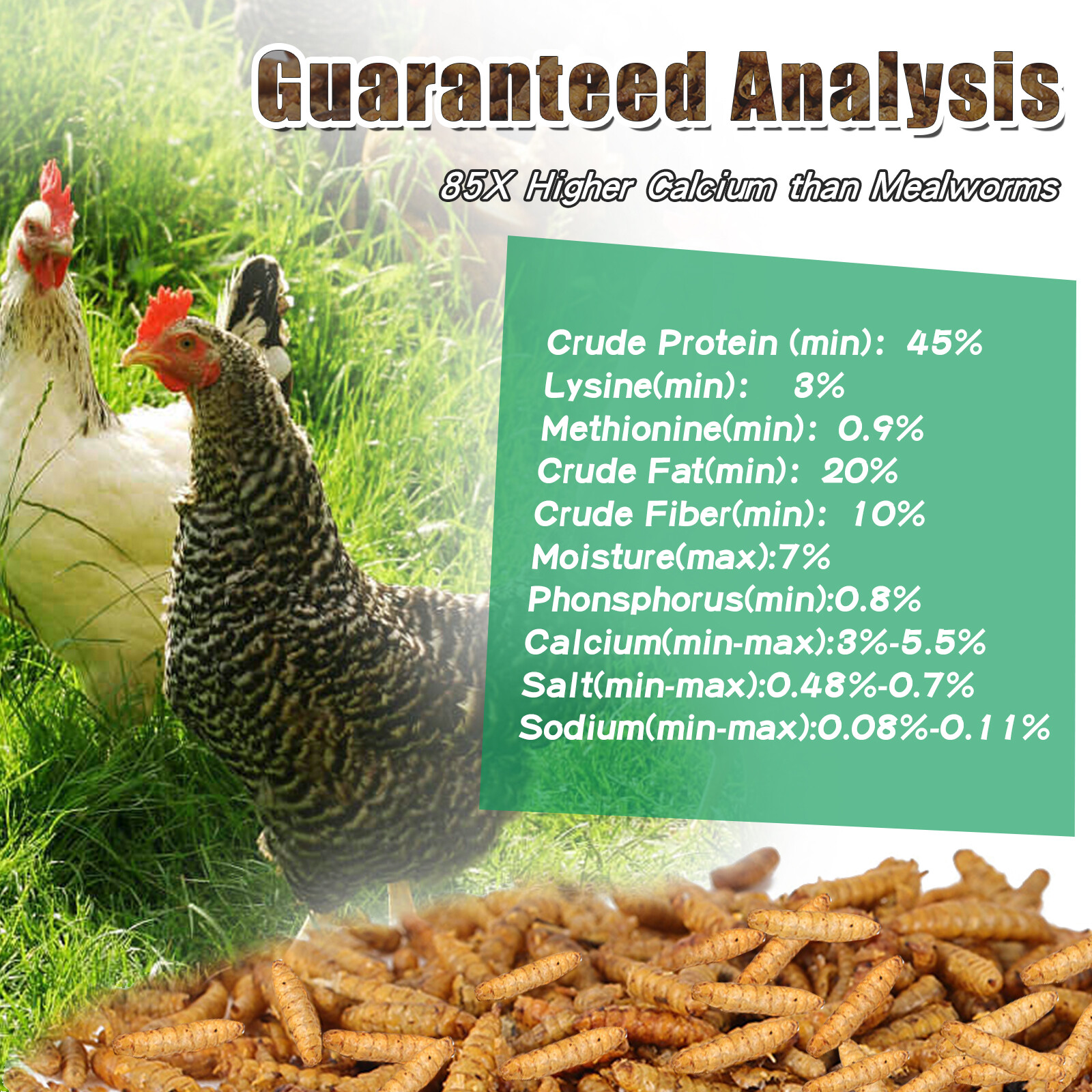 11/22/33/44/55lb Dried Black Soldier Fly Larvae Mealworms for Reptiles & Chicken