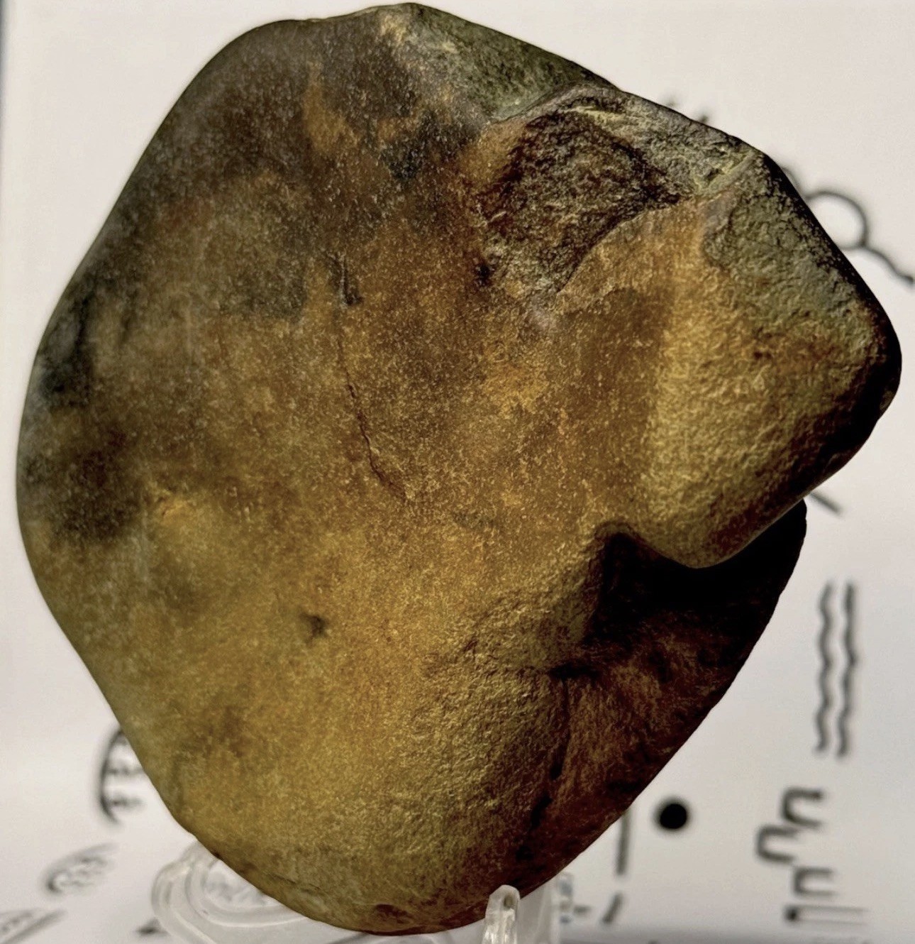 Native American Indian Authentic Artifact Stone Carved Effigy, 1 lb 3 oz • VA