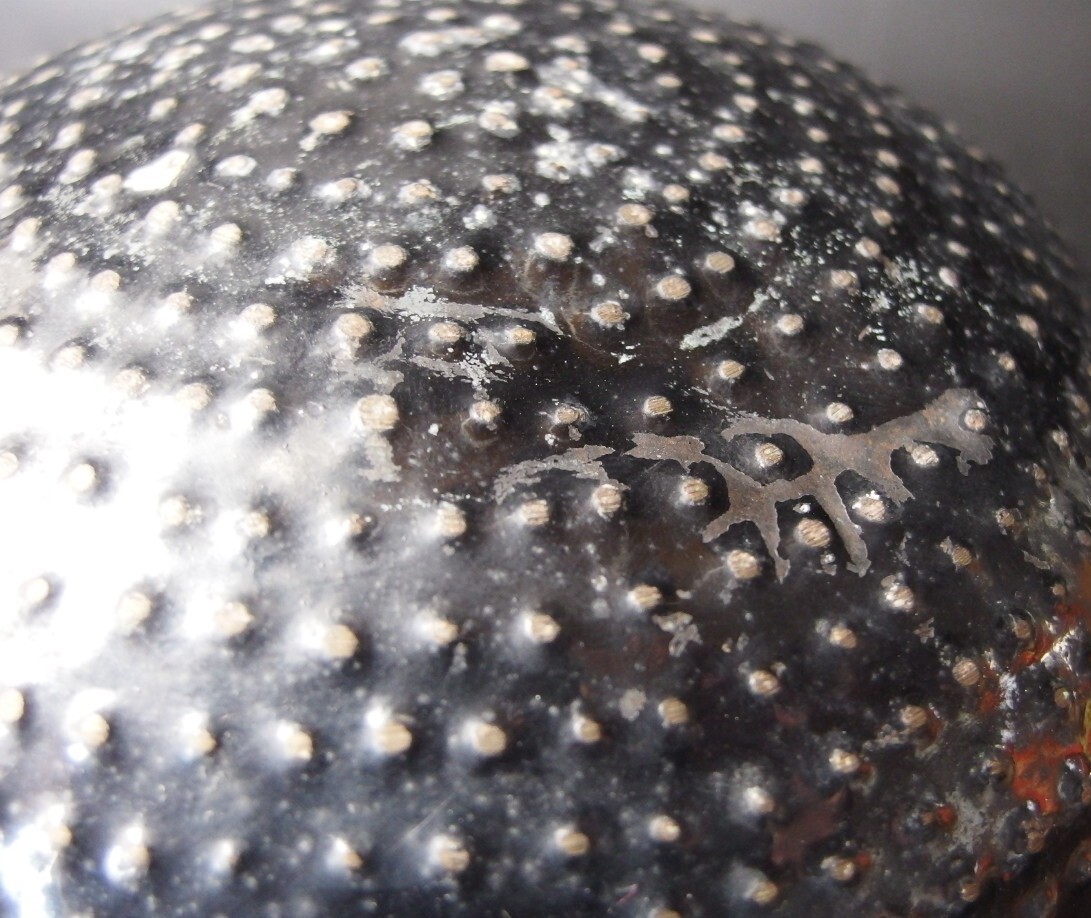 or2583 JAPANESE BUDDHIST SINGING BOWL ORIN 19cm / 7.5inch Width by SHORYU 昇竜