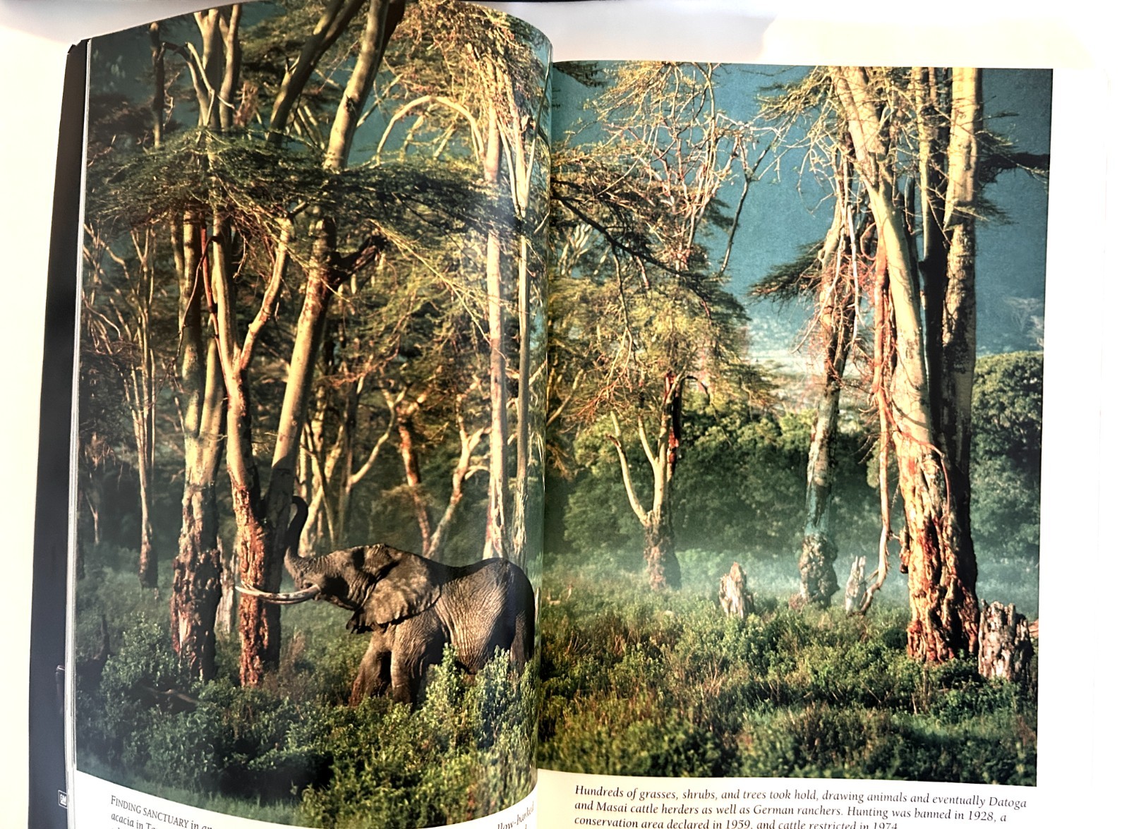 10 National Geographic Magazines Lot 1900-2010 No Dups Junk Journal Art Collage