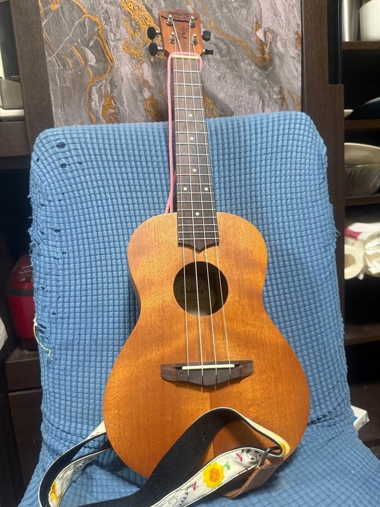 concert ukulele with case