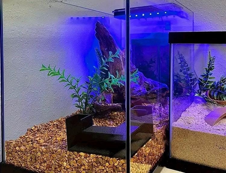Aquarium Cave Hide - 360 viewing - Triangular Cave Design - Dual enterance fish