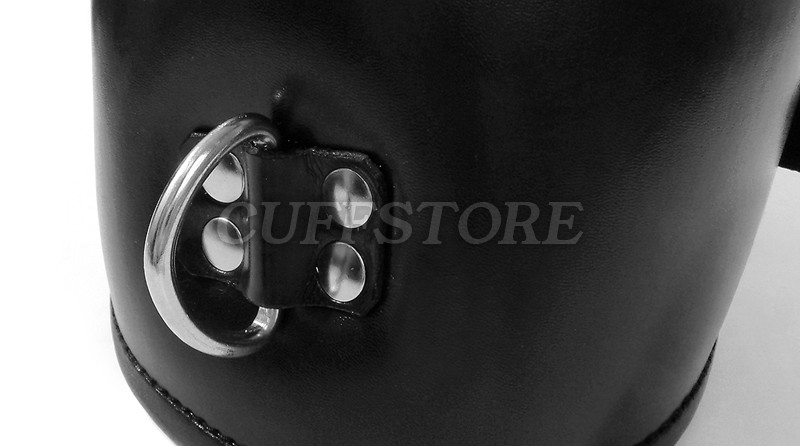 Adjustable Size Deluxe Padded Black Leather Posture Collar