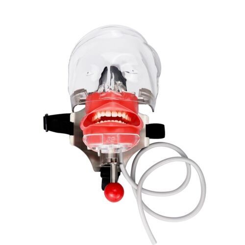 Dental Simulator Manikin Phantom Head Model Teeth Model for Training Practicing