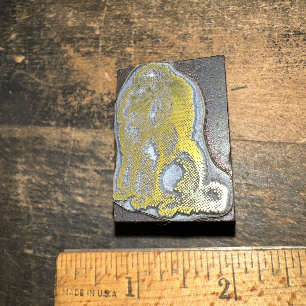 Print Block ( Cute Dog Poodle ) Nice Image!￼