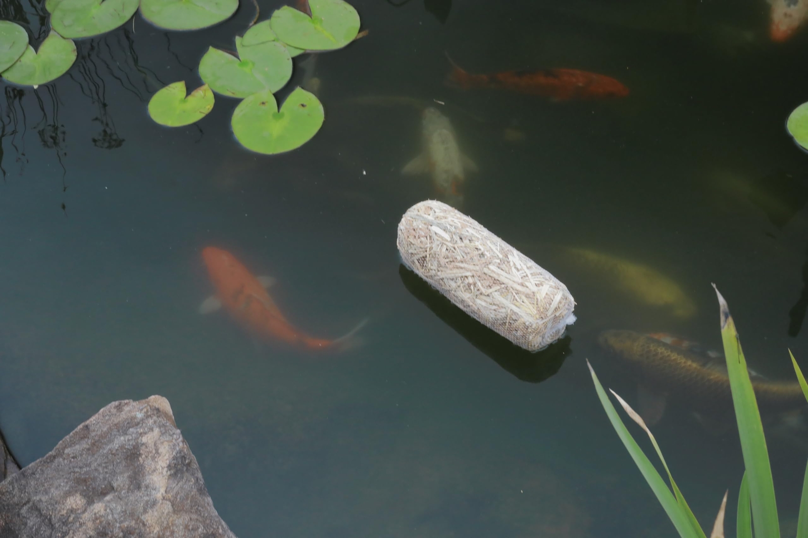 Summit 130 Clear-water Barley Straw Bales 2-Pack