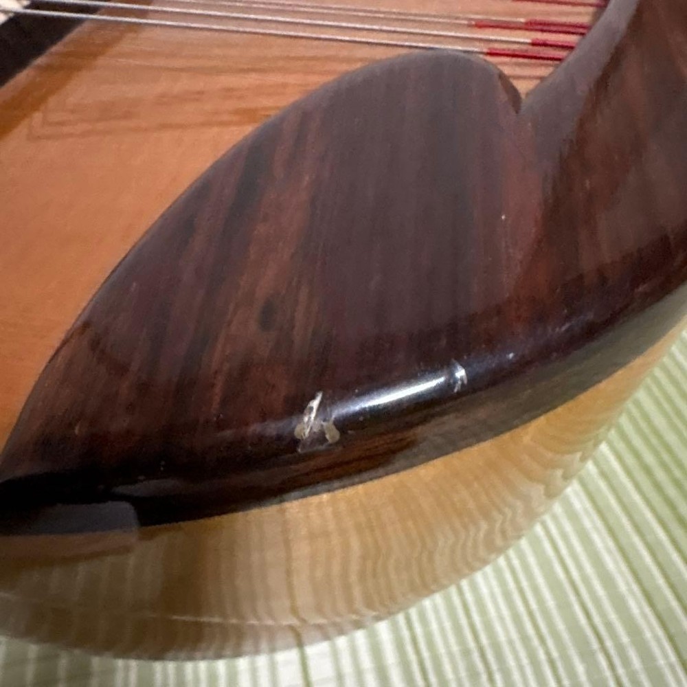 Raffaele Terada Musical Instruments High End Mandolin RM-3 String Guitar