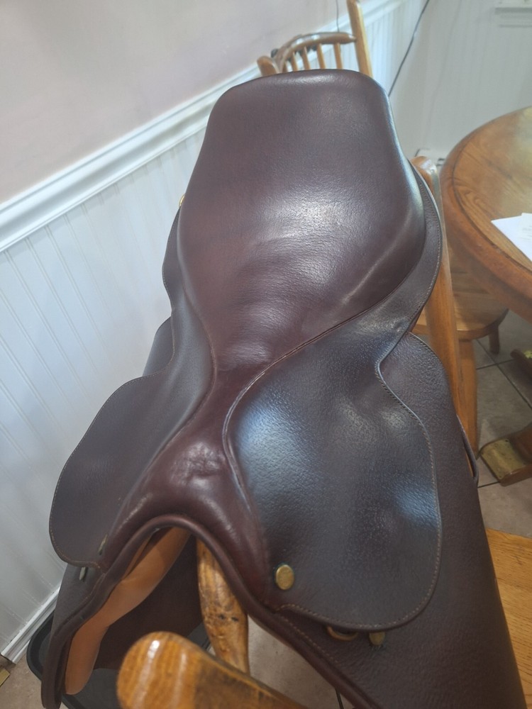 Collegiate 16.5" Saddle - Excellent Condition - with accessories