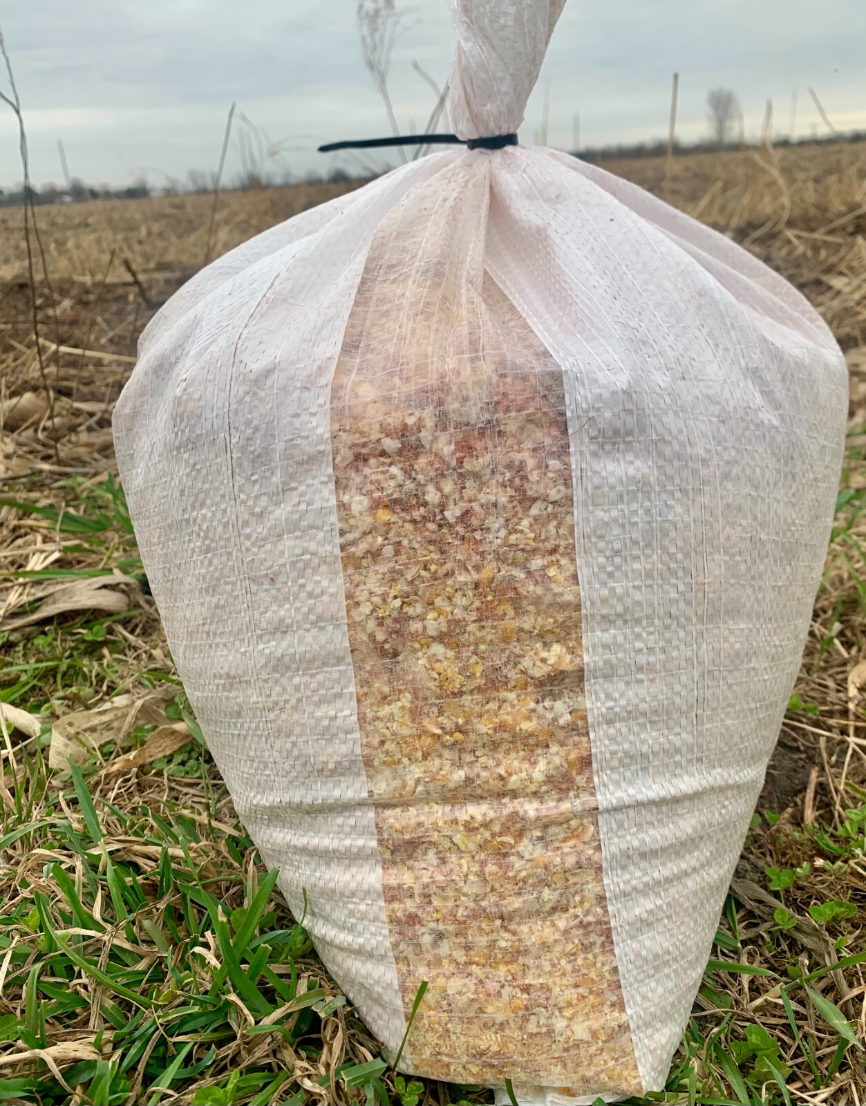 Cracked Corn Premium Chicken Scratch Duck Turkey Bird Feed 15 lb Low Ship Cost