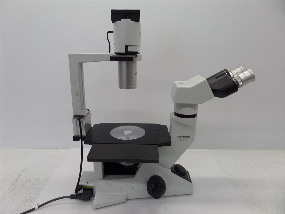 Olympus CKX41 Inverted Phase Contrast Microscope