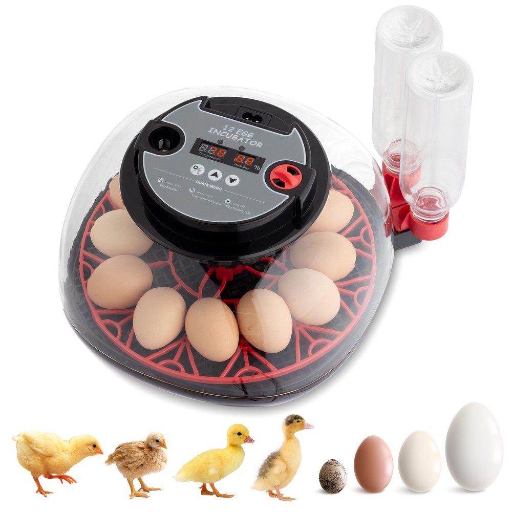 12 Eggs Incubator with Automatic Egg Turning for Hatching Chicken Ducks Eggs