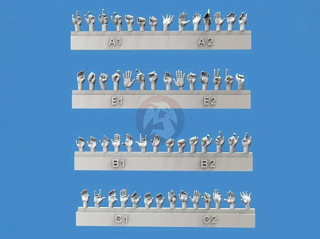 Royal Model 1/48 Assorted Hands Set (28 Left & 28 Right, different poses) 1001