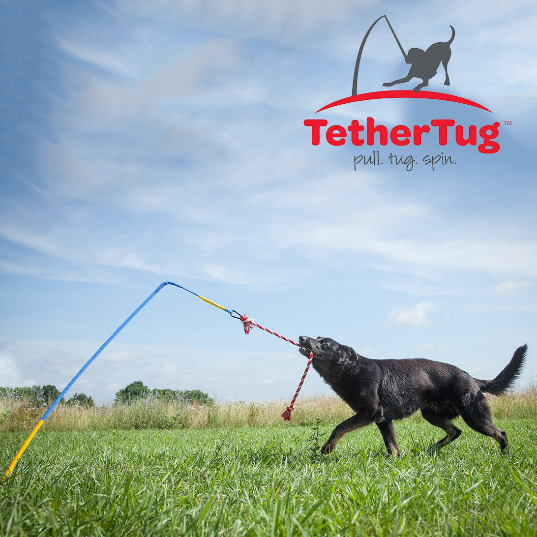 Tether Tug V2 Outdoor Dog Interactive Toy Tugging Pull Exercise 5-70 lbs and Up