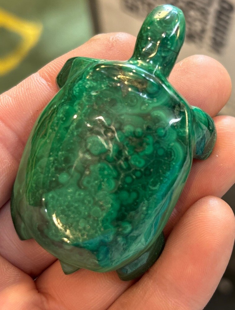 2” Malachite Turtle