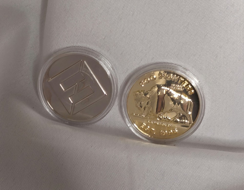 Foo Fighters Concrete & Gold Coin Set