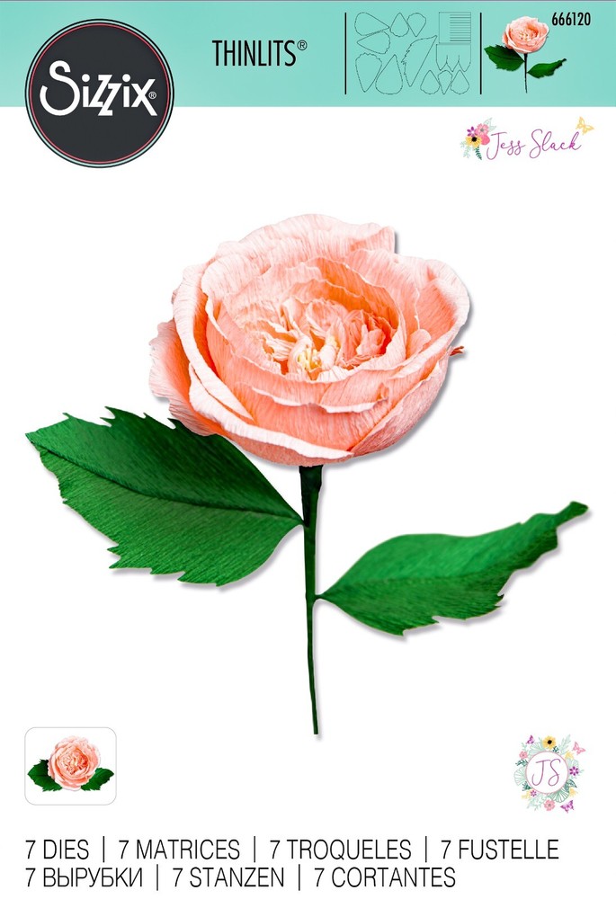 New Retired Sizzix Thinlits 7pc Garden Rose #666120 Retail $36.99 by Jess Slack