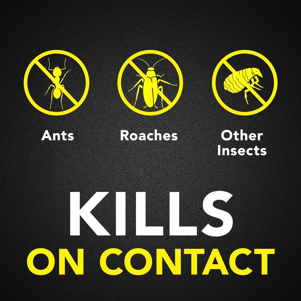 Raid Defend Ant and Roach Insect Killer, Indoor Insecticide, 20 oz.