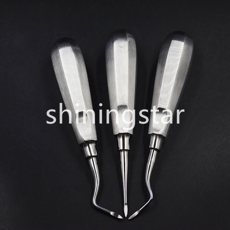 6 Pcs Dental Apical/Apex Elevator Extraction Root Elevator Left/Right/Straight