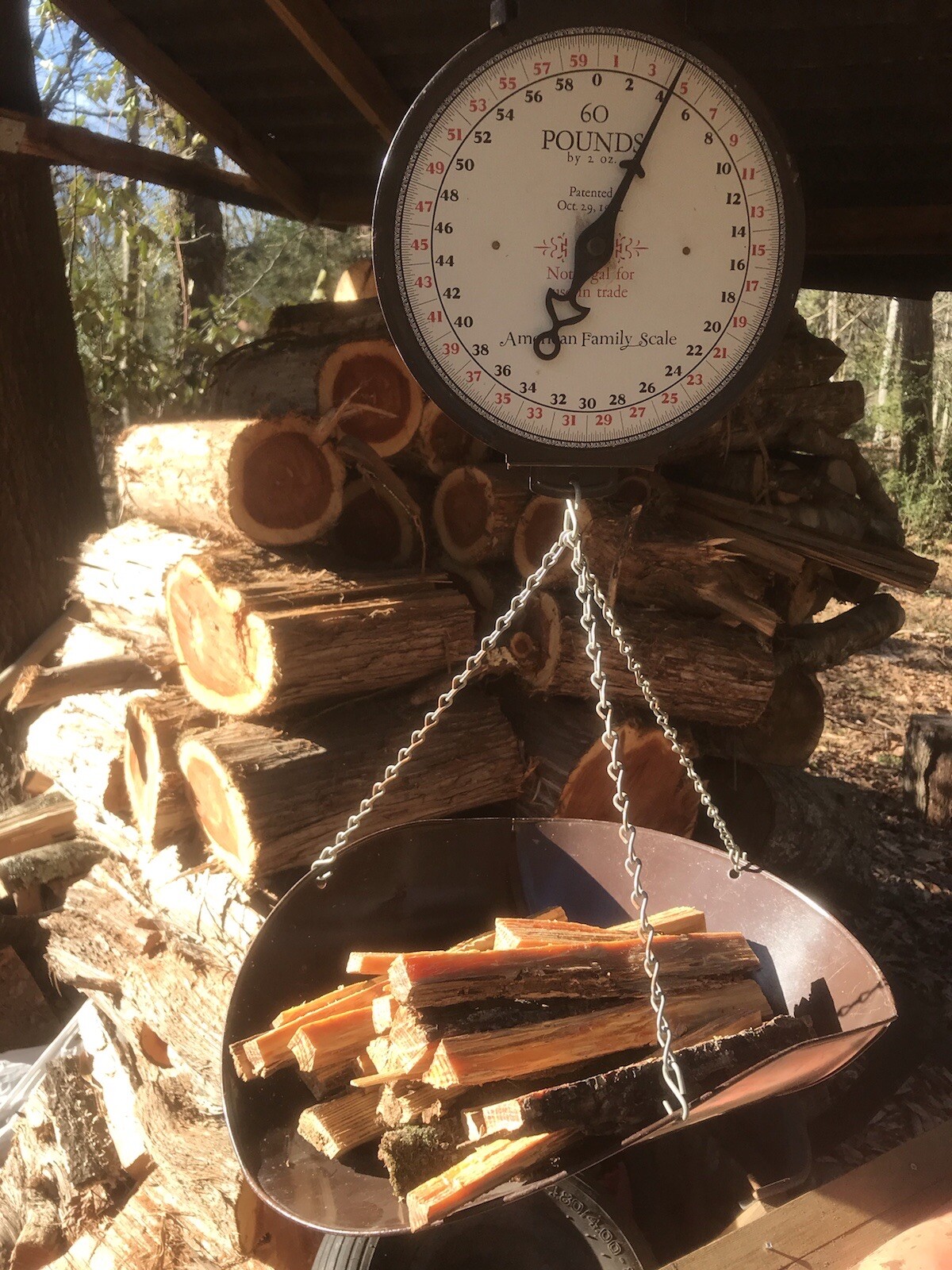 7 lbs Georgia Fatwood Natural Fire Starter Kindling. THE BEST!