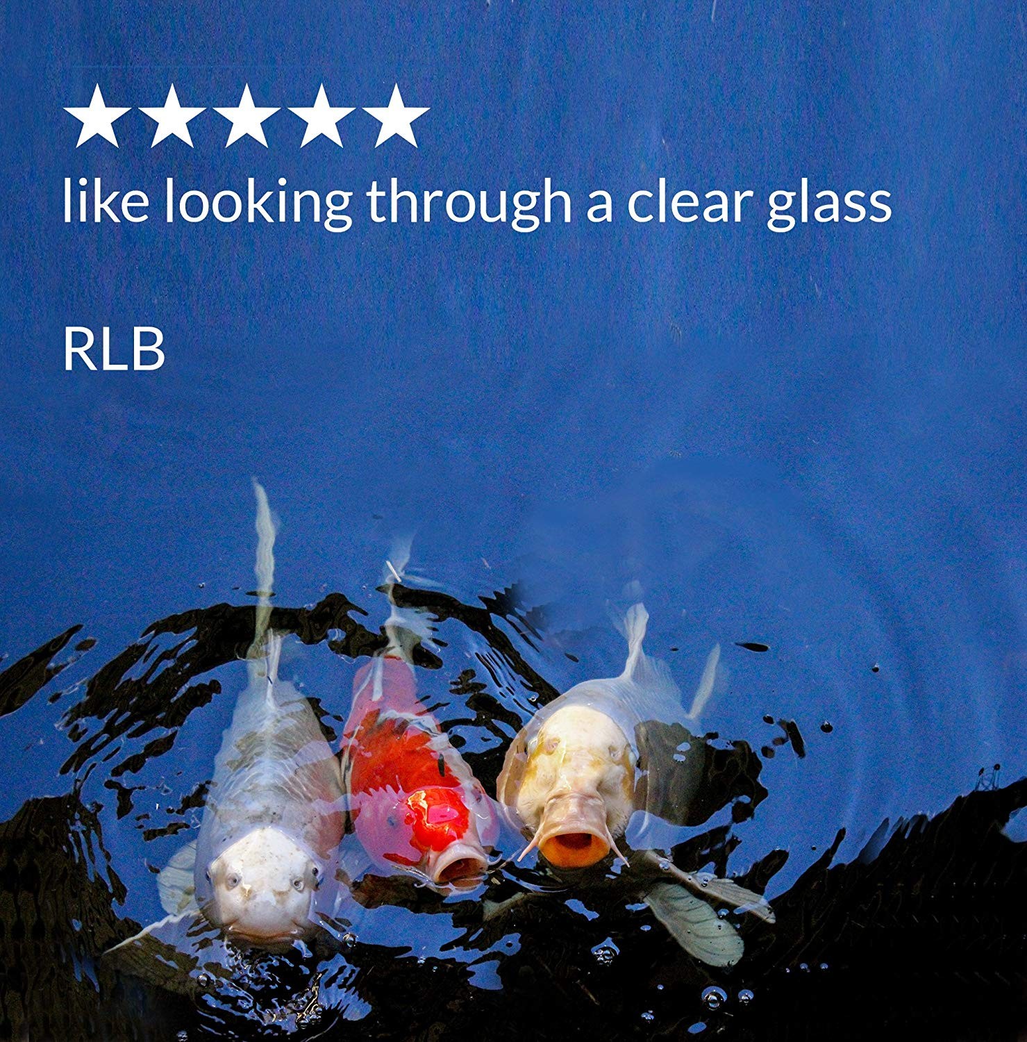 API Pond Accu-Clear Pond Water Clarifier 16 Ounces