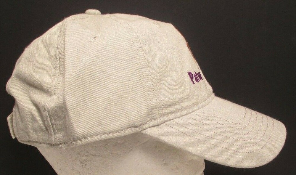 Patwin Hawks Hat Elementary School Davis California Cap