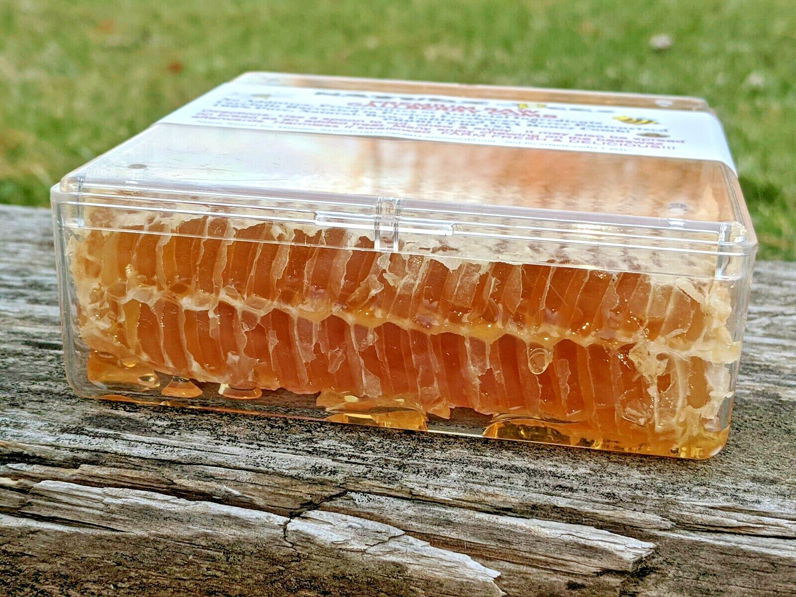 PREMIUM HONEY RAW GALLBERRY COMB 12oz 100% PURE UNFILTERED USA HONEYCOMB