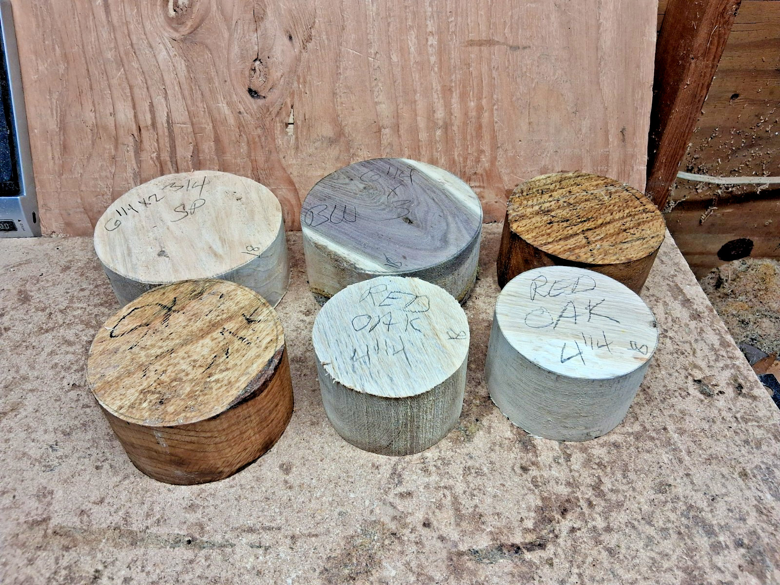 Black Walnut Pin Red Oak Silver Poplar Wood Turning Bowl Blanks 6pc