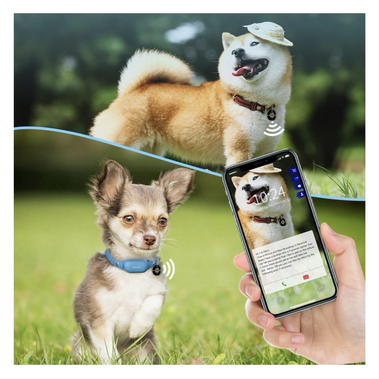 PATPET P680 NFC Pet ID Tag Bark & Remote Dog Training Electric Collar, Blue