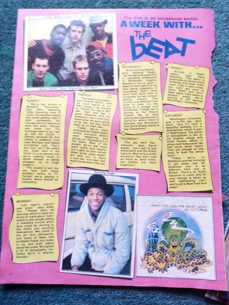 Dii6 Ephemera 1981 Pop Article The Beat