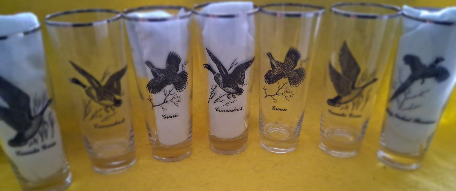VINTAGE WATERFOWL GAME BIRDS SET OF 7 SILVER RIMMED BARWARE 7" GLASS TUMBLERS