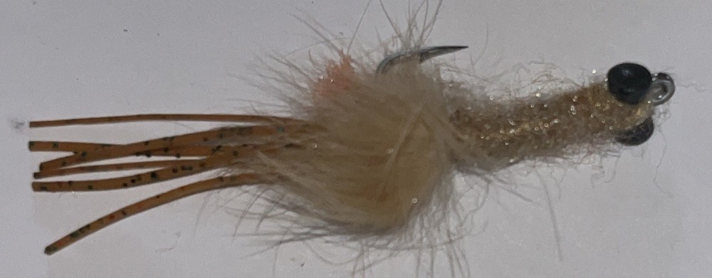 Dumbbell Eye Mantis Shrimp Fly (6ct) Great For Bonefish