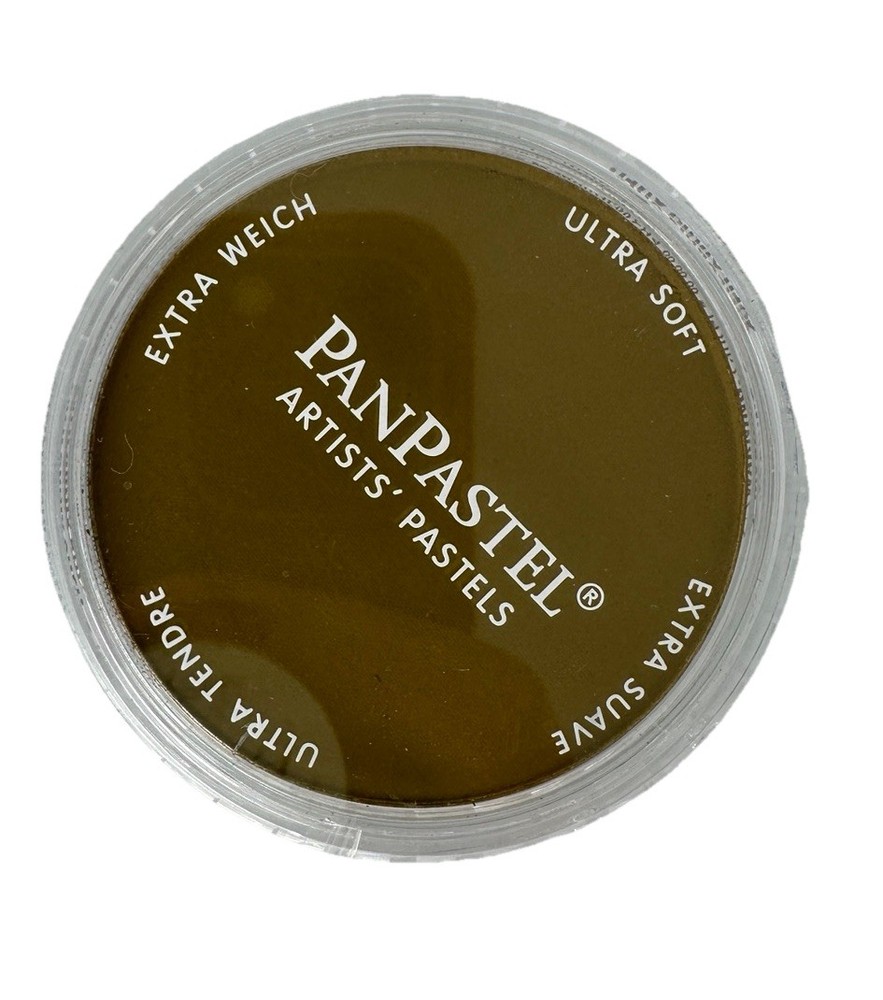 Panpastel 250.1 Diarylide Yellow Extra Dark