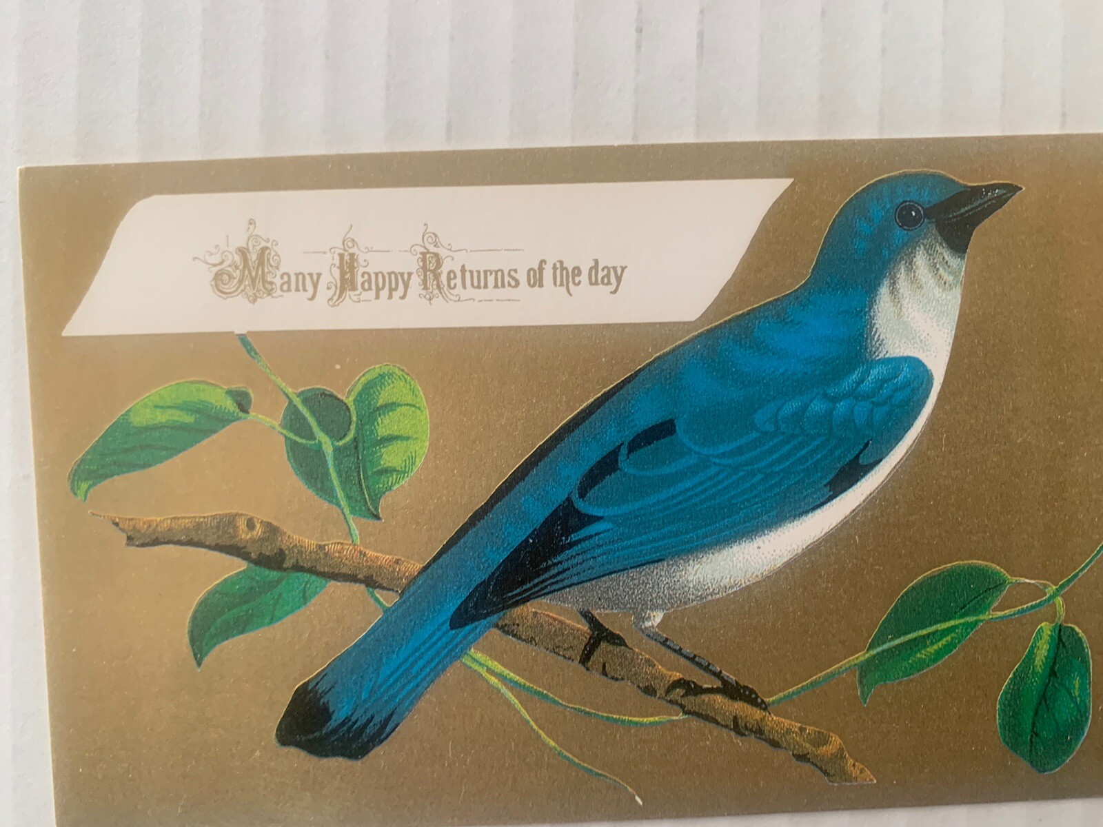 Vintage 2.75” x 4.75” Bluebird Ephemera Message Card Unused Front & Back London