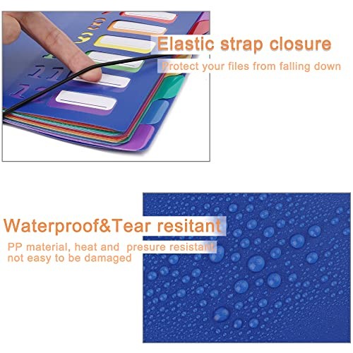 Rainbow Tab Expanding File Folder - 24 Pockets, Durable A4 Blue - 24 Pockets
