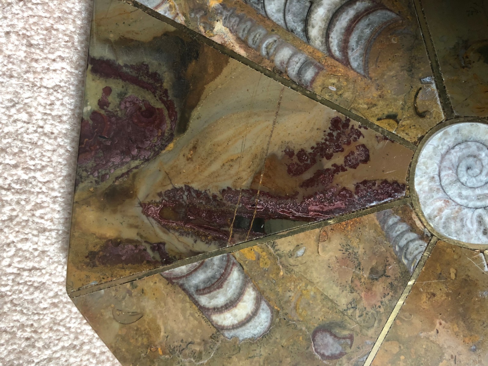 Ammonite Orthoceras Fossil Table Top Tabletop Nightstand 12-1/4" Inlay plate