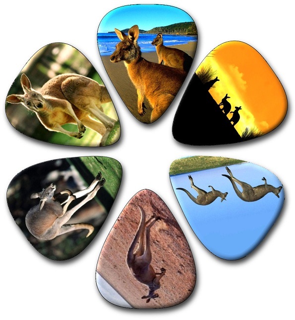 6  MIXED KANGAROO  Guitar Picks ~ Plectrums,  Genuine Celluloid Guitar Picks