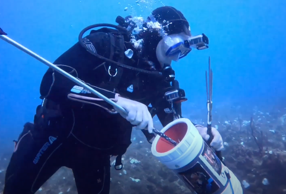 Reg-Mount | Hands Free Camera Light and Mount - No Bubbles