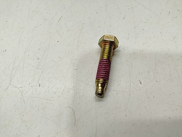 Screw - 2000 Polaris NOS